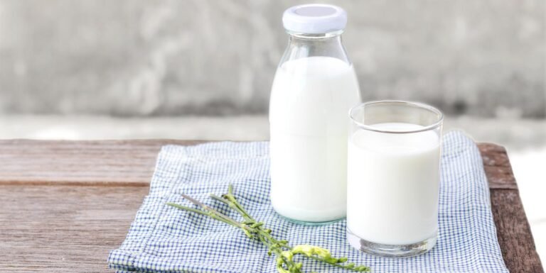 Best High Protein Milk to Help You Reach Your Goals