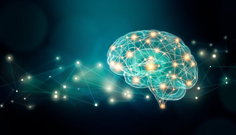Enhancing Cognitive Capabilities Through the Use of Modafinil
