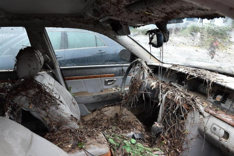 Secrets of Salvage: Inside the World of Damaged Automobiles