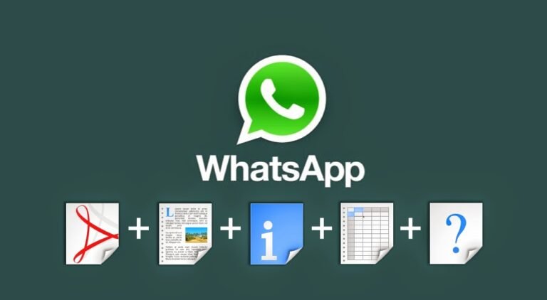 Enhancing Multimedia Experience in WhatsApp GB