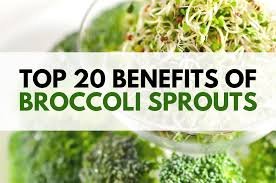 Unveiling the Remarkable Benefits of Broccoli Sprouts