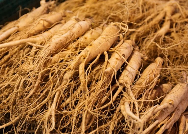 10 Benefits Ginseng of For Treatment Erectile Dysfunction