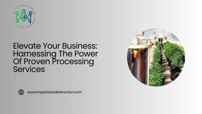 Elevate Your Business: Harnessing The Power Of Proven Processing Services