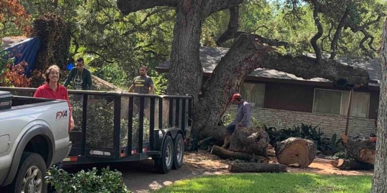 Ensuring Safety and Security Emergency Tree Removal Services in Austin